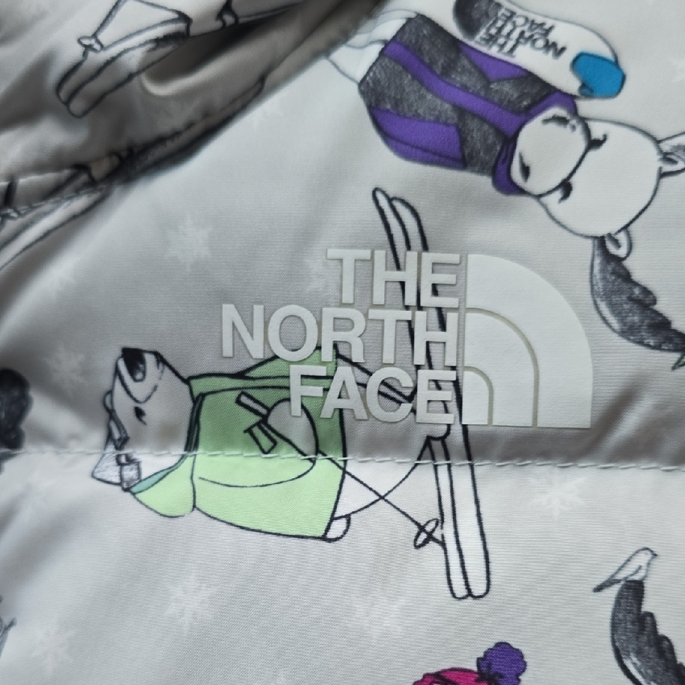 The North Face Light Gray Jacket with Graphic Print